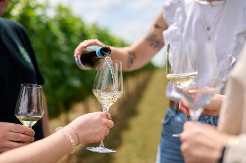 a group of people holding up wine glasses at WeinHotel Fritz Walter in Niederhorbach