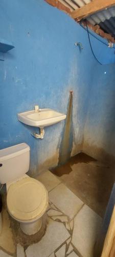 uma casa de banho com um WC e um lavatório em Hostal Pelican em El Gigante