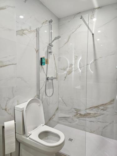 a bathroom with a toilet and a glass shower at B53 Accommodation in Maynooth