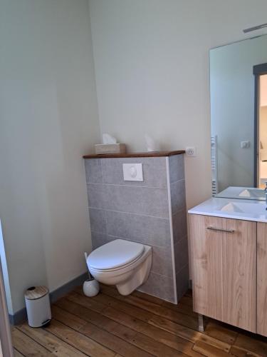 a bathroom with a toilet and a sink at Au P'tit Gueul'ton in Les Aix-dʼAngillon