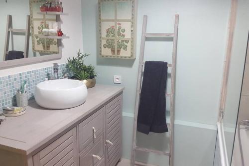 une salle de bain avec un lavabo et une douche dans l'établissement Appartement calme avec terrasse à 10 min de Paris, à Asnières-sur-Seine