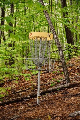 Gallery image of Maine Treehouse-The Spruce Suite in North Lovell