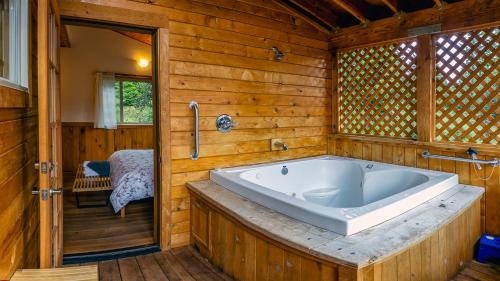 Ένα μπάνιο στο Green Springs Inn