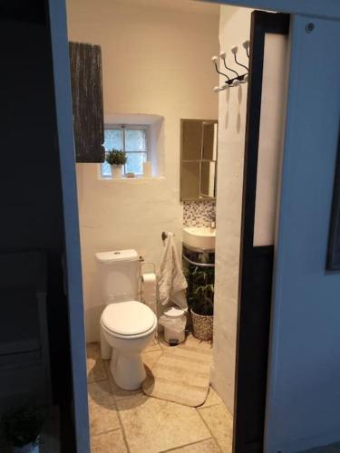 une salle de bain avec toilettes et lavabo dans l'établissement Maison Provençale avec piscine en bord de ruisseau, à Lafare