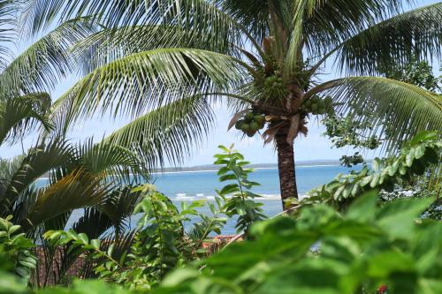 a palm tree with a beach in the background at Pousada Nascente do Sol in Ilha de Boipeba