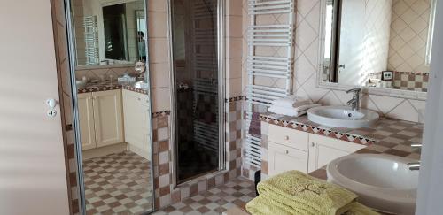 a bathroom with a shower and a sink and a mirror at Les Oliviers De Notre Dame in Mazan