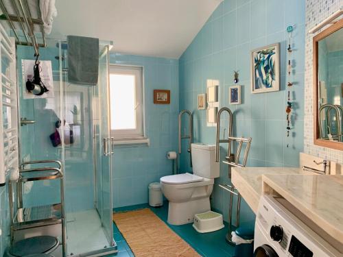 a blue bathroom with a toilet and a shower at Casa do Paço Aveiro - HolidayHome in Aveiro