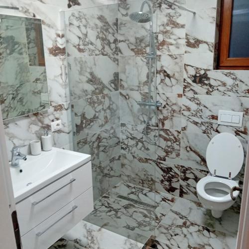 a bathroom with a toilet and a sink at Casa Mont Blanc Cavnic apartament 2 in Cavnic