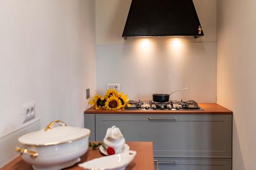 kuchnia ze zlewem i kuchenką górny piekarnik w obiekcie Il Pucchio w mieście Certaldo