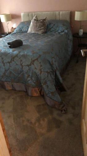En eller flere senge i et værelse på Drumalief stay