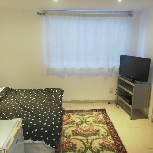 a living room with a bed and a television at VINOX PROPERTY in Chatham