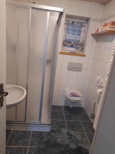 a bathroom with a shower and a toilet and a sink at Ferienwohnung im Theaterhof in Greußenheim