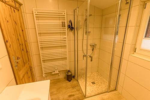 a shower with a glass door in a bathroom at Spreewald Fewo direkt am Wasser in Lübbenau