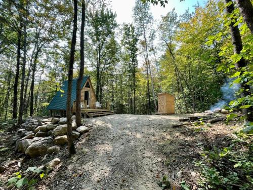 eine kleine Hütte mitten im Wald in der Unterkunft Rustic Cabin in Maine Woods-The Beech in North Lovell