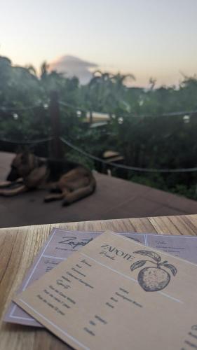 a piece of paper sitting on top of a table at La Bambouseraie in Balgue