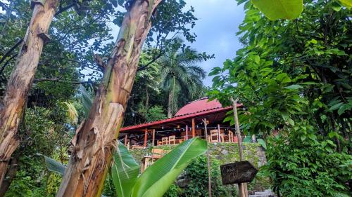 a resort building in the middle of a forest at La Bambouseraie in Balgue