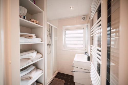 een badkamer met een douche, een wastafel en handdoeken bij Hausboot Seeschwäche - LP12 in Laasow