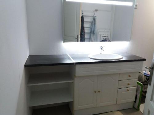 une salle de bain avec un lavabo et un miroir dans l'établissement Maison avec jardin à Mers les Bains, à Mers-les-Bains