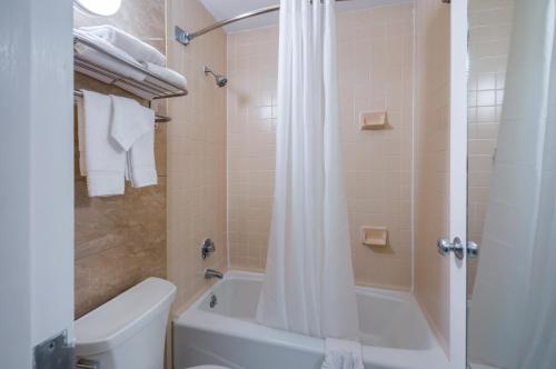a bathroom with a shower and a toilet and a sink at Quality Inn Fredericksburg-Central Park Area in Fredericksburg
