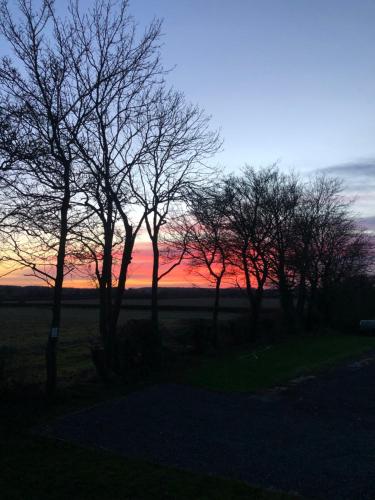 a group of trees with a sunset in the background at Couple’s Lodge With Hot Tub in Lincolnshire