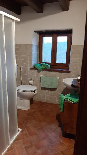 a bathroom with a toilet and a sink at Agriturismo Ca' de' Magnani in Baragazza