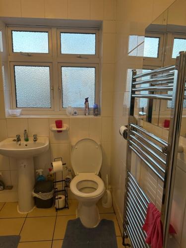 La salle de bains est pourvue de toilettes et d'un lavabo. dans l'établissement Gorgeous 5 bedroom house, à Hither Green