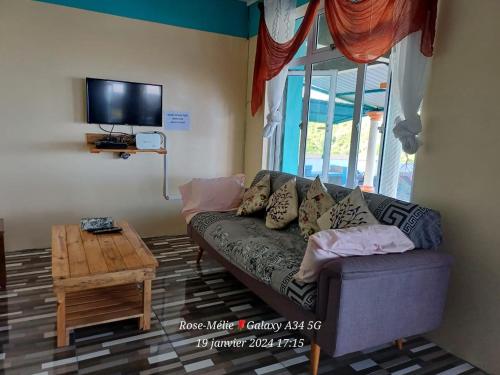 a living room with a couch and a tv at Chez Tonio Magic Ocean View in Rodrigues Island