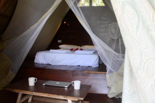 a bed in a tent with a table and a laptop at Dragon's Garden in Santa Cruz