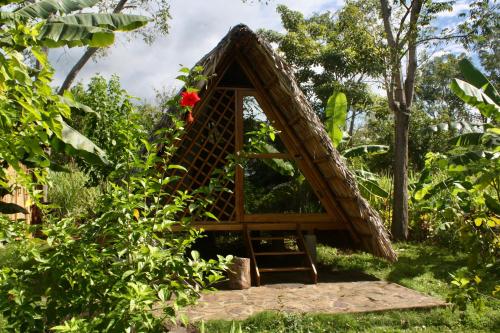 Gallery image of Dragon's Garden in Santa Cruz