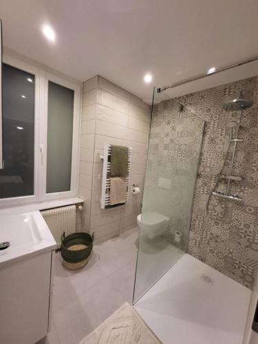 une salle de bain avec une douche, des toilettes et un lavabo dans l'établissement Chez Michèle et Philippe, à Munster
