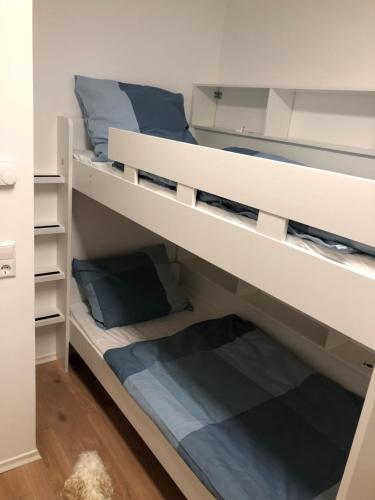 1 dormitorio con 2 literas y almohadas azules en Schöfferles Ferienwohnung, en Keidelheim