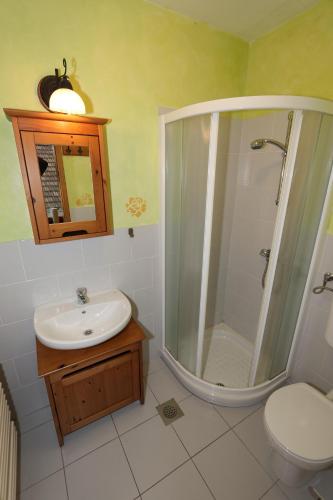 a bathroom with a sink and a shower and a toilet at Krka River Lodge in Krka