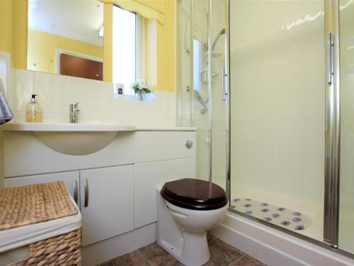 a bathroom with a toilet and a sink and a shower at 2 Bed in Mundesley 75398 in Mundesley