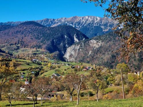 uma aldeia numa colina com montanhas ao fundo em Mosorel em Măgura