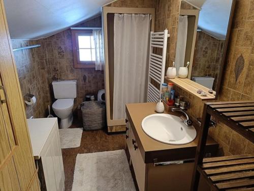 uma casa de banho com um lavatório e um WC em Chalet Hasliblick Brienzwiler em Brienzwiler