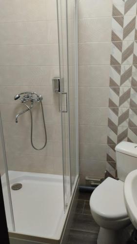 a bathroom with a shower with a toilet and a sink at Ак-Тай Гостиный Двор in Ustʼ-Kamenogorsk
