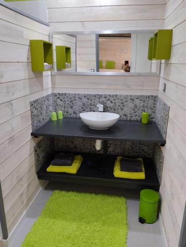 une salle de bain avec un lavabo et un miroir dans l'établissement Domaine la belle charentaise, à Chadenac