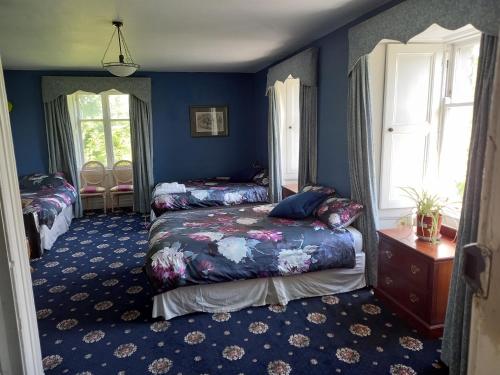 1 dormitorio con 2 camas y paredes azules en Cregg Castle en Galway