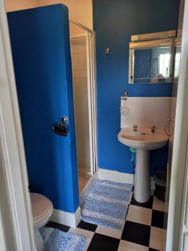 Baño azul con lavabo y aseo en Cregg Castle en Galway