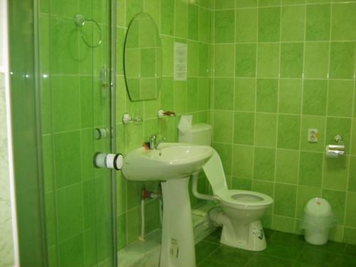 a green tiled bathroom with a toilet and a sink at Casa Nobilis in Gura Humorului