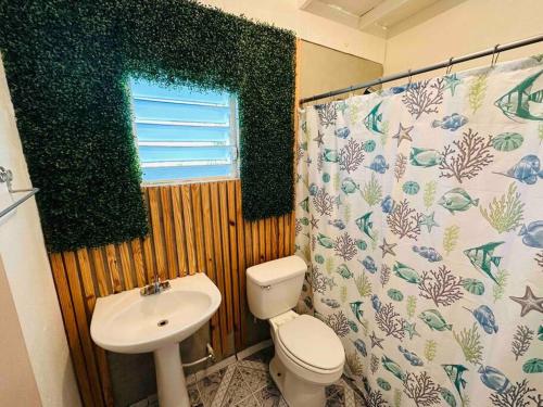 een badkamer met een toilet, een wastafel en een douchegordijn bij Casita de Campo/ Peace Cottage 