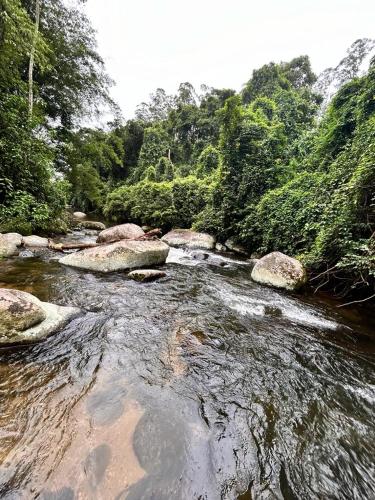 Casa Brisa da Cachoeira Paraty- asfalto -Casa com cachoeira 5 hóspedes