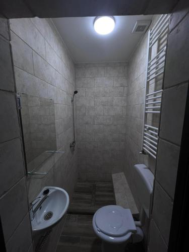 a bathroom with a toilet and a sink at Casa Ratiu 3 Stele Airport Bucharest Therme Bucharest in Baloteşti