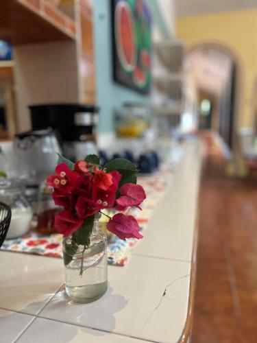 a vase filled with red flowers sitting on a counter at Casa Tres Colibries in Mérida