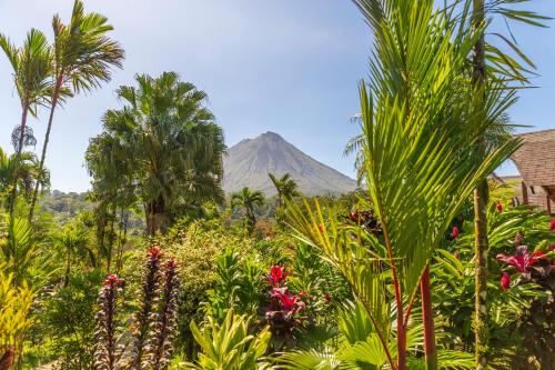 a mountain in the distance with palm trees and flowers at Hotel Lavas Tacotal in Fortuna