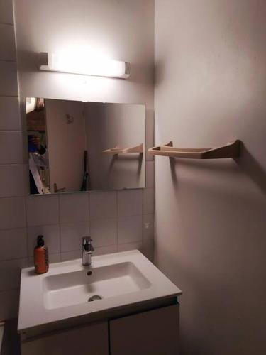 ein Bad mit einem Waschbecken und einem Spiegel in der Unterkunft studio 6 in Chalon-sur-Saône