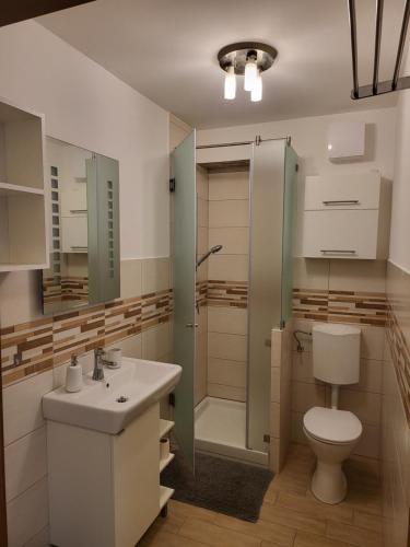 La salle de bains est pourvue de toilettes, d'une douche et d'un lavabo. dans l'établissement TriAngol Apartman: fürdő, belváros, egyetem, à Győr