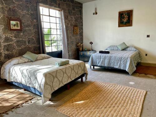 Un dormitorio con dos camas y una ventana. en Casa Flora 32, en Mixquiahuala