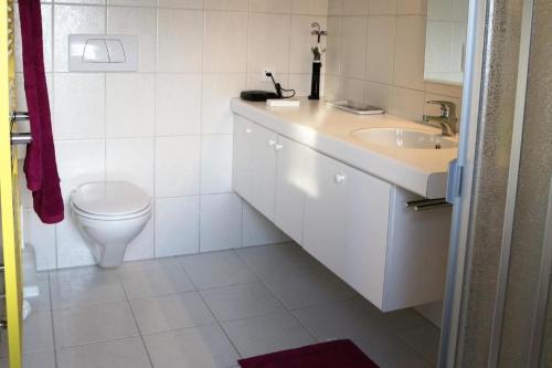 Orselina的住宿－Casa via Patocchi 41，白色的浴室设有水槽和卫生间。