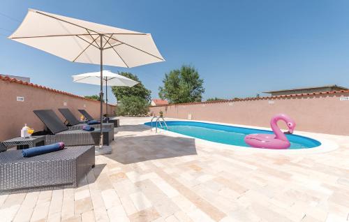 a swimming pool with a pink swan in it at Elegant Villa Jure with private pool in Poličnik